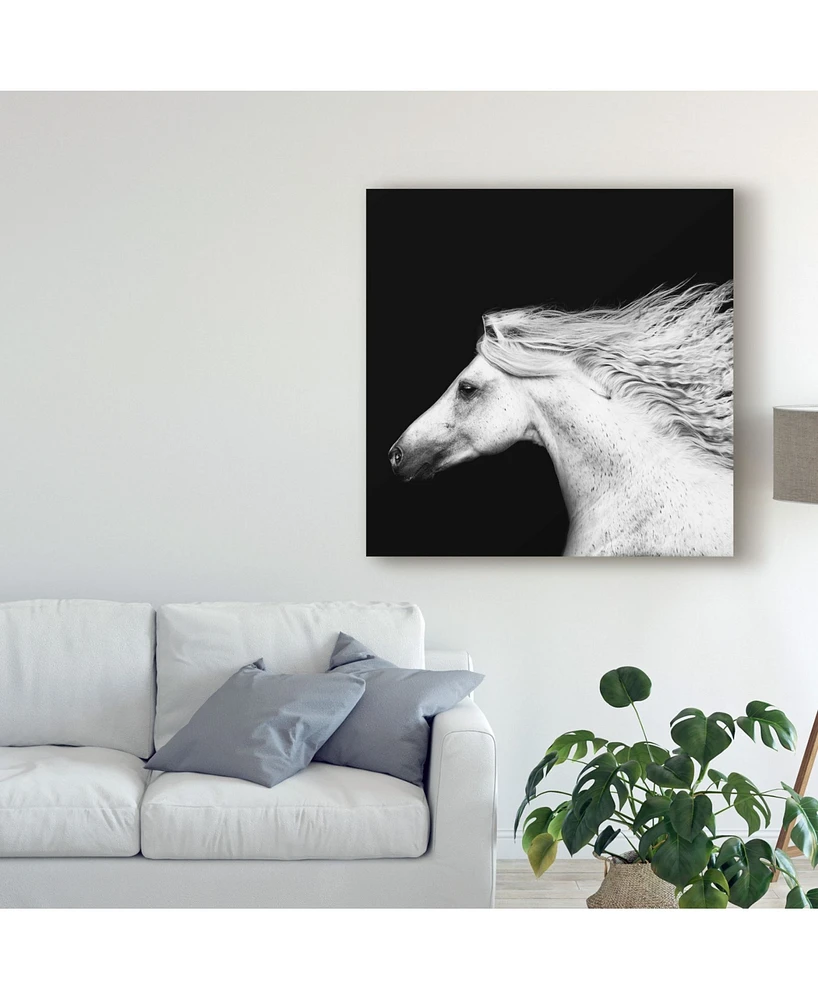 Ph Burchett Black and White Horses V Canvas Art - 20" x 25"