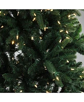 Northlight 9' Pre-Lit Led Instant Connect Noble Fir Artificial Christmas Tree - Dual Lights
