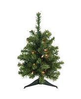 Northlight 18" Pre-Lit Canadian Pine Artificial Christmas Tree - Clear Lights