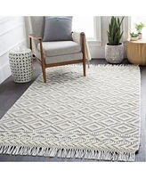 Closeout Livabliss Farmhouse Tassels Fts 2303 Gray Rug