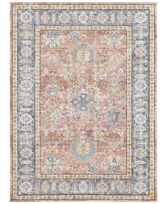 Amer Rugs Century Cen-16 Coral 7'10" x 10'6" Area Rug