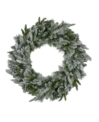 Northlight Unlit Flocked Mixed Colorado Pine Artificial Christmas Wreath