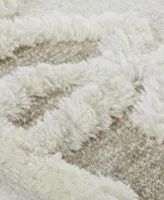 Feizy Anica R8011 4' x 6' Area Rug