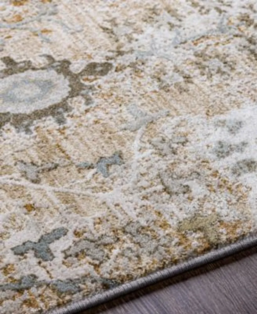 Livabliss Brunswick Bwk2311 Area Rug