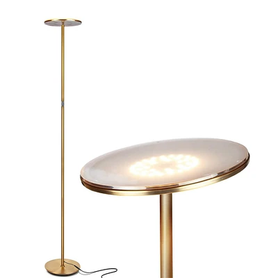 Brightech Sky 63" Super Bright Led Torchiere Modern Floor Lamp with Adjustable Head