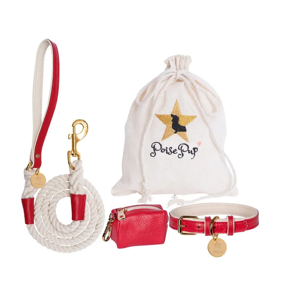 PoisePup Pet Dog Waste Bag Holder - Melting Hearts