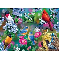 Masterpieces Audubon - Songbird Collage 1000 Piece Jigsaw Puzzle