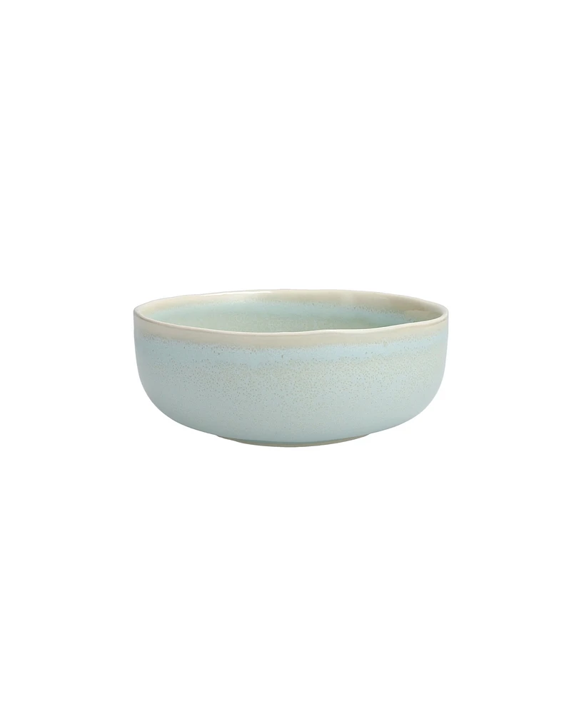 Fortessa Cloud Terre No. 3 Soup Bowls, Set of 4