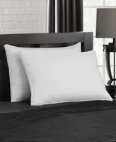 Ella Jayne Gusseted Firm Plush Down Alternative Side/Back Sleeper -Pack Pillow