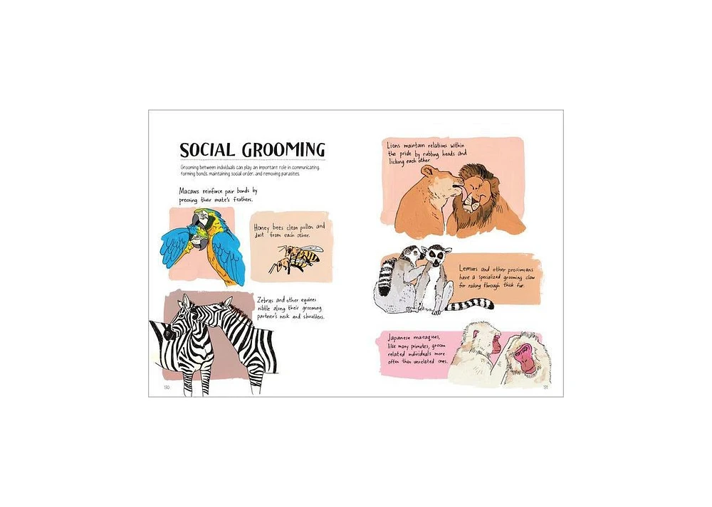 Wildlife Anatomy- The Curious Lives & Features of Wild Animals around the World by Julia Rothman