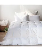 All Season Feather & Down Duvet Comforter Insert