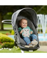 Fisher Price Calming Vibes Hedgehog Soother, Portable Infant Plush Pal