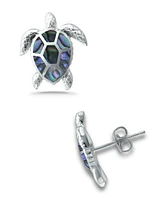 Macy's Abalone Inlay Turtle Stud Post Earrings