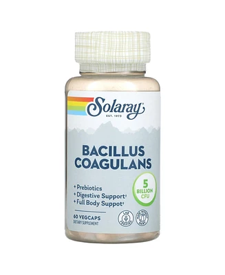 Solaray Bacillus Coagulans 5 Billion Cfu - 60 VegCaps (2.5 Billion per Capsule)