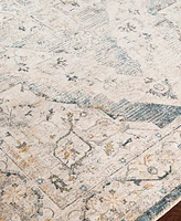 Livabliss Cardiff Cdf-2303 7'10x10'3 Area Rug