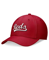 Nike Men's Cincinnati Reds Evergreen Performance Flex Hat