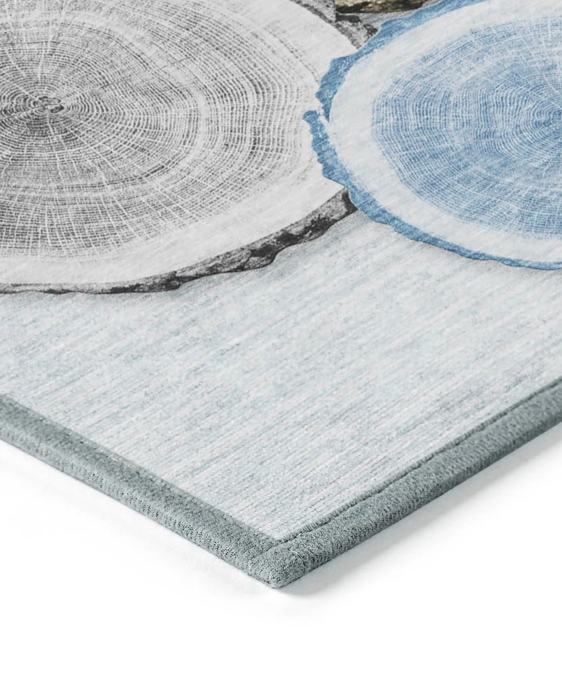 Addison Chantille Machine Washable ACN575 3'x5' Area Rug