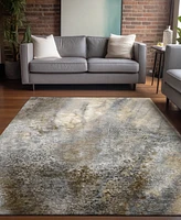 Addison Chantille Machine Washable ACN505 8'x10' Area Rug