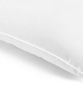 Therapedic Premier 2-Pack Pillows, Standard