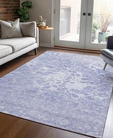 Addison Chantille Machine Washable ACN653 2'6"x3'10" Area Rug