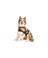 Chilly Dog M Black Canyon Dog Blanket Coat