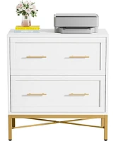 Tribesigns 2 Drawer File Cabinet, Modern Lateral Filing Cabinet for Letter/Legal/A4 Size, Large File Storage Cabinets Printer Stand with Storage for H