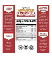 BioSchwartz Advanced B-Complex, 120 ct