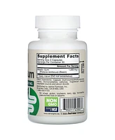 Jarrow Formulas Nutrition Mastic Gum