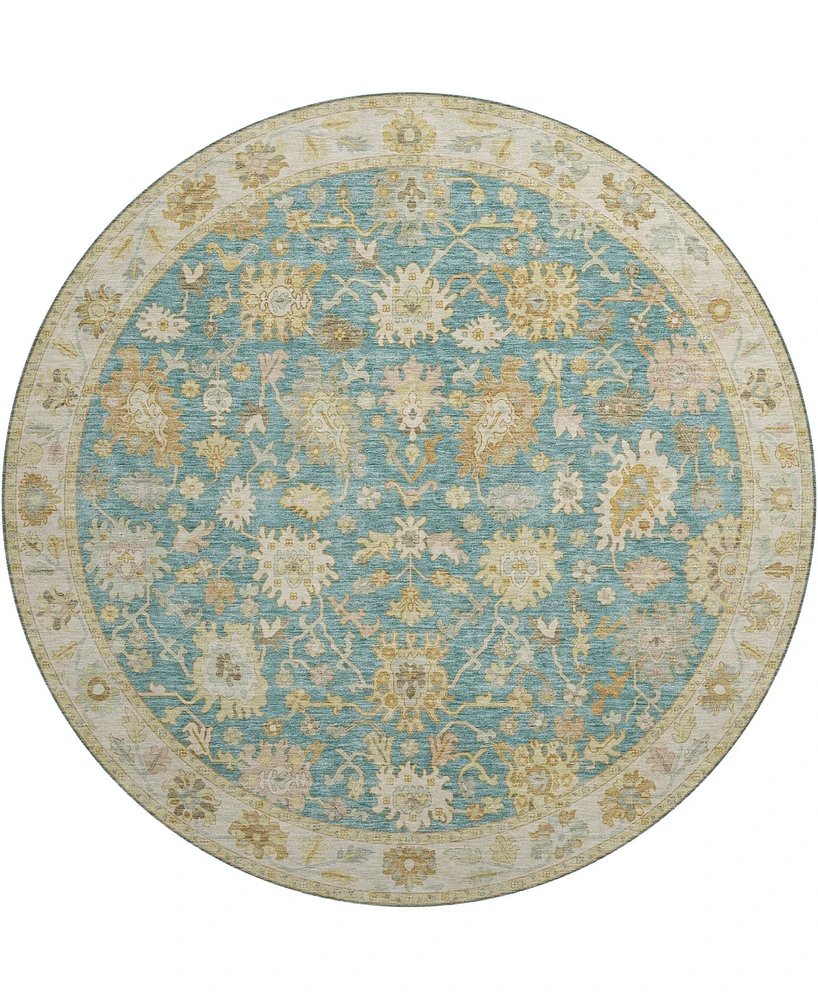 Dalyn Hatay Washable HY2 8'x8' Round Area Rug