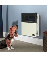 Ashley Hearth Products 11,000 Btu Direct Vent Liquid Propane Wall Mount Heater