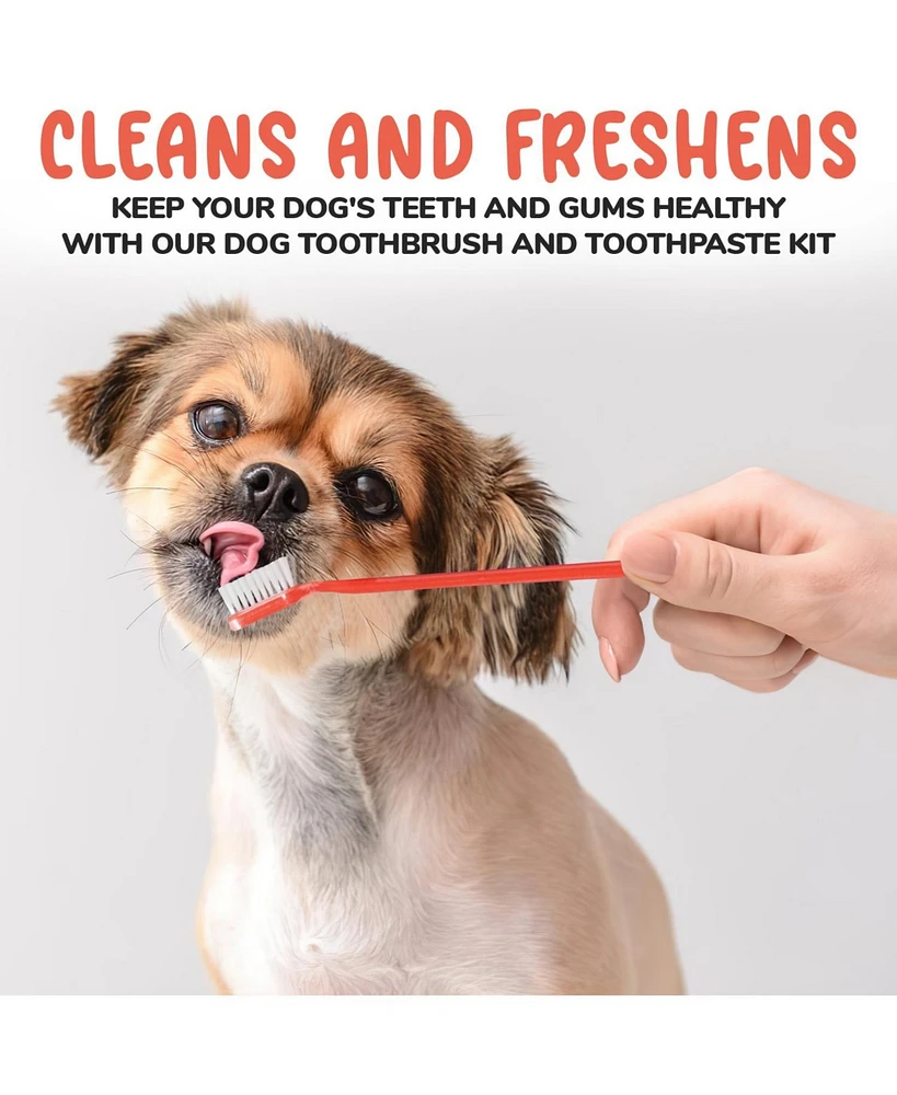 Precious Tails 2-Pc Pet Dental Kit for Dogs and Cats, Double Headed Tooth Hugger Brush and Vanilla Flavor Toothpaste Set