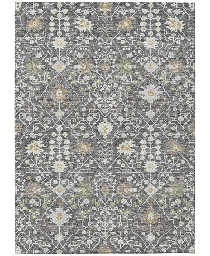 Addison Chantille Machine Washable ACN1009 9'x12' Area Rug