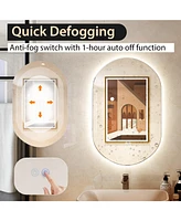 32'' x 20'' Oval Bathroom Wall Mirror Mounted Makeup Mirror with Lights & Anti-Fog