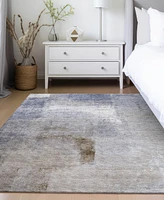 Addison Chantille Machine Washable ACN787 3'x5' Area Rug