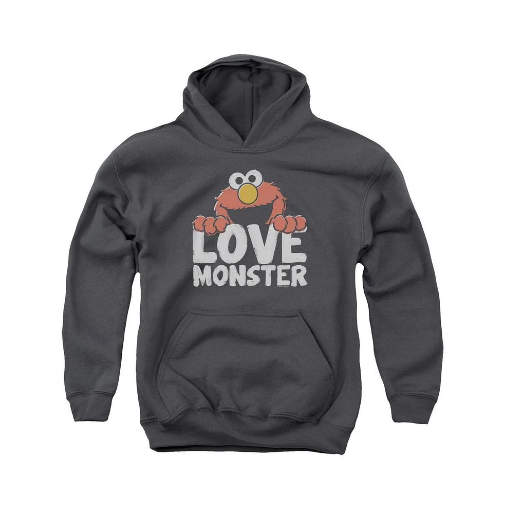 Sesame Street Youth Love Monster Pull Over Hoodie