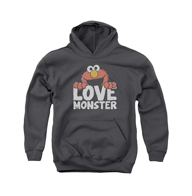 Sesame Street Youth Love Monster Pull Over Hoodie