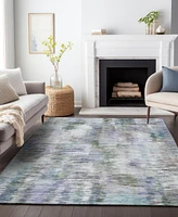 Addison Chantille Machine Washable ACN813 2'6"x3'10" Area Rug