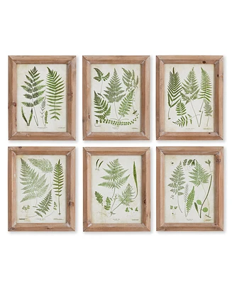 Assorted Frond Study Petite Set of 6