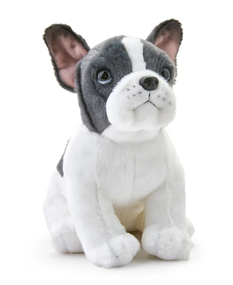 Geoffrey's Toy Box French Bulldog Puppy Dog Plush, Created for Macy's