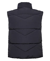 Little and Big Boys Quilted Puffer Vest