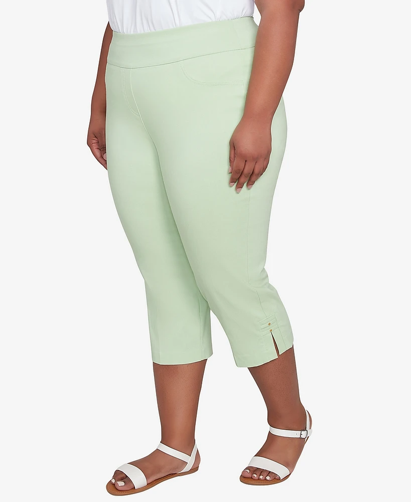 Hearts Of Palm Plus Solid Tech Stretch Pull On Pants