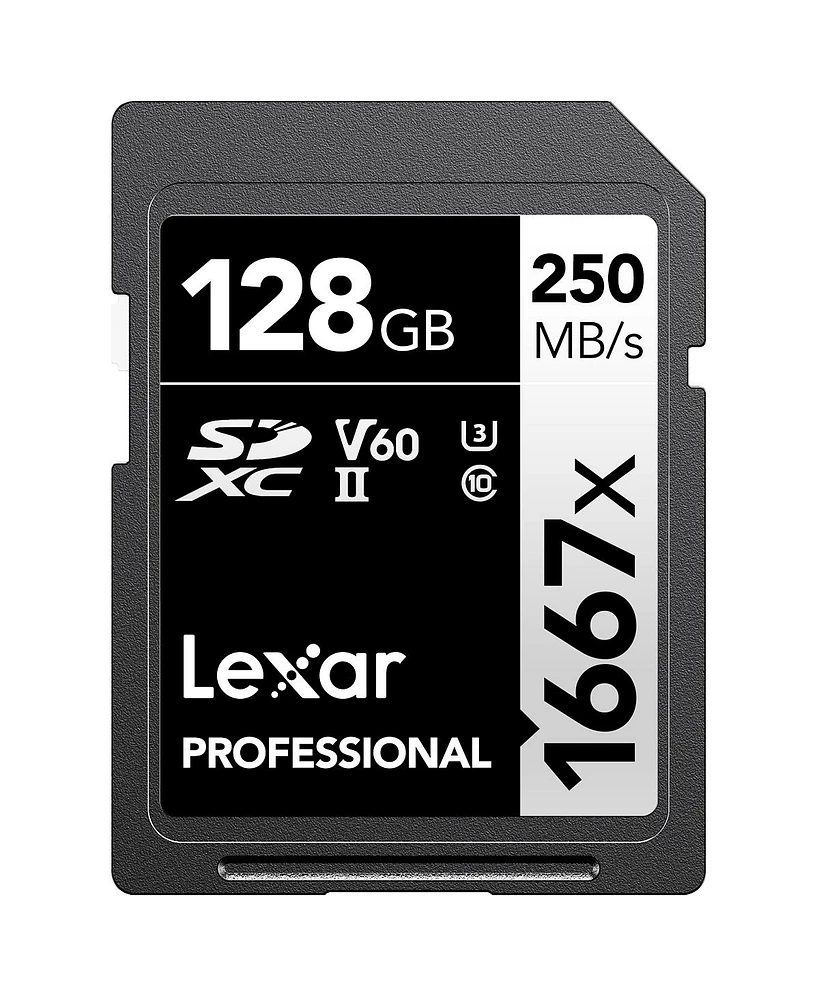 Panasonic Lumix G95 Mirrorless Camera with Lumix G Vario 12-60mm f/3.5-5.6 Mft Lens Bundle with 128GB Memory Card, Backpack, Extra Battery, Charger, M