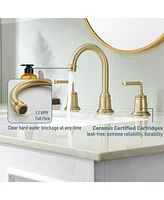 2-Handle Bathroom Sink Faucet with Drain Assembly lavatory Faucet with Pop Up Drain and cUPC Faucet Supply Hoses, Brushed Gold