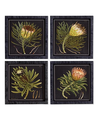 Protea Petite Prints Set of 4