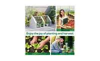 Greenhouse – Reliable and Spacious Structure for Gardening and All-Season Plant Cultivation