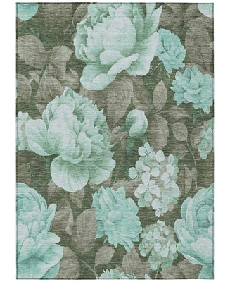 Addison Chantille Machine Washable ACN1565 3'x5' Area Rug