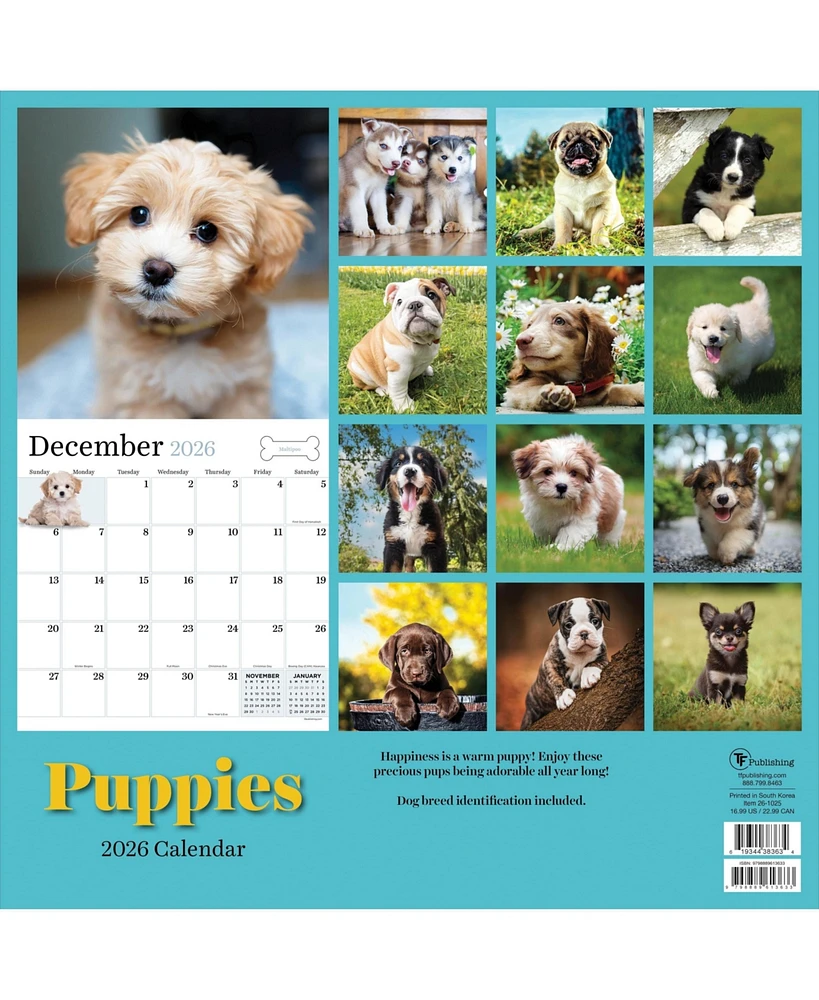 2026 Puppies Wall Calendar