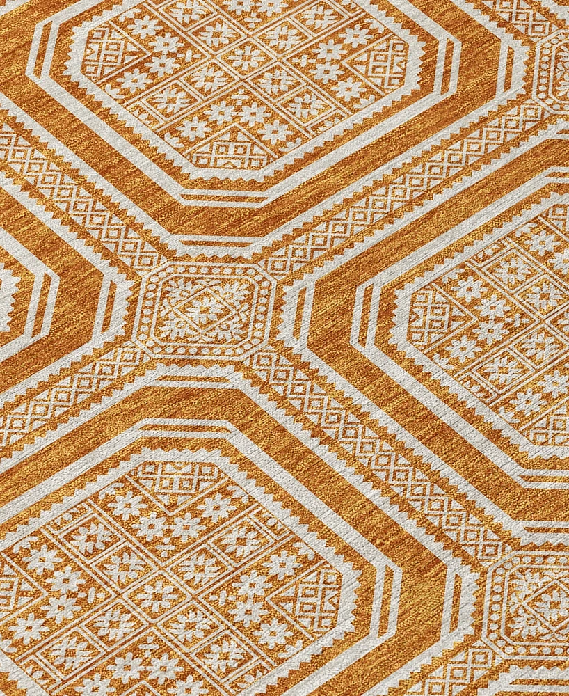 Addison Chantille ACN1464 1'8"x2'6" Area Rug