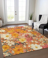Addison Chantille Machine Washable ACN1510 3'x5' Area Rug