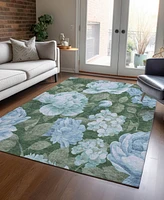 Addison Chantille Machine Washable ACN1566 5'x7'6" Area Rug